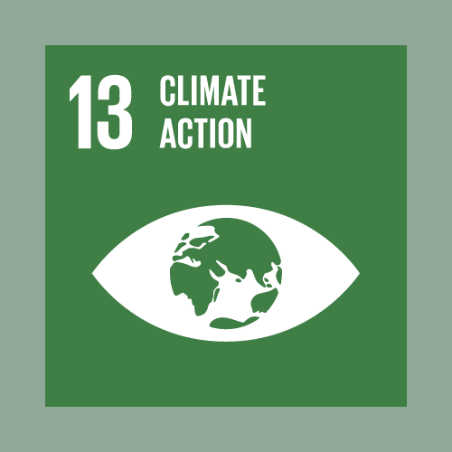 UN sustainable development goal #13